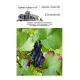 Gemeindebrief_09-10 _2023.pdf