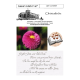 GemeindeBrief_06-07_2024.pdf