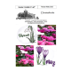 GemeindeBrief_02-03_2025.pdf