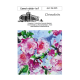 GemeindeBrief_04-05_2025.pdf