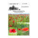 GemeindeBrief_06-07_2025.pdf